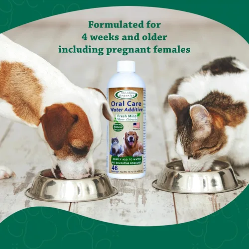 Vista 6 de Aditivo de agua para el cuidado bucal para gatos y perros, soporte dental suave, reduce los olores del aliento, promueve la salud de las encías, sin