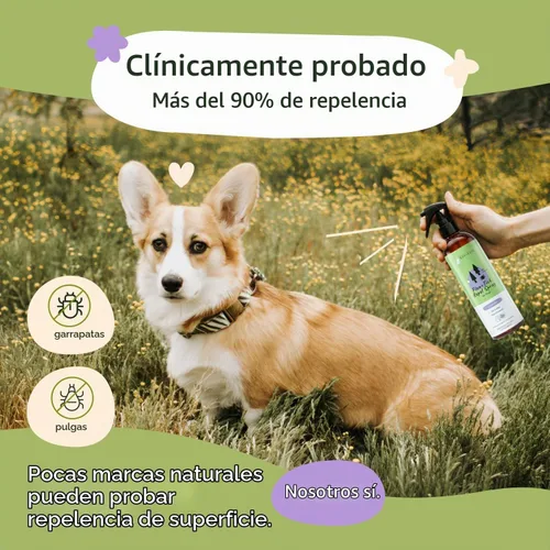 Vista 2 de Kit de protección contra garrapatas (champú de lavanda - spray de lavanda)