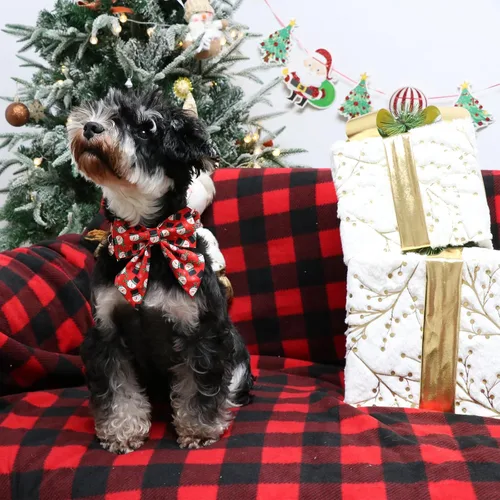 Vista 4 de Collar de Navidad para perro con pajarita, collar de Navidad para cachorros, hembras, machos, perros o gatos, collares con lazo con hebilla de metal