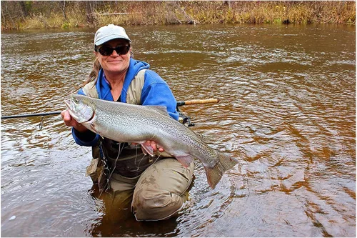 Vista 4 de St. Croix Rods Triumph Salmon & Steelhead - Caña giratoria (2 piezas), TRSS
