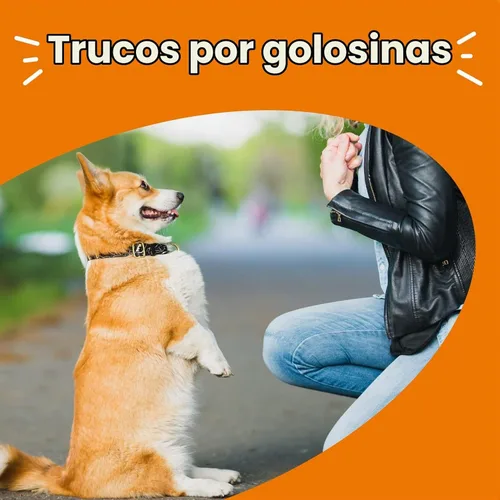 Vista 9 de Zesty Paws Golosinas de Entrenamiento para Perros y Cachorros - Golosinas para Perros para Entrenamiento - Masticables Saludables para Perros