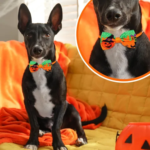 Vista 4 de Eccliy 50 collares ajustables para perros de Halloween Fantasma