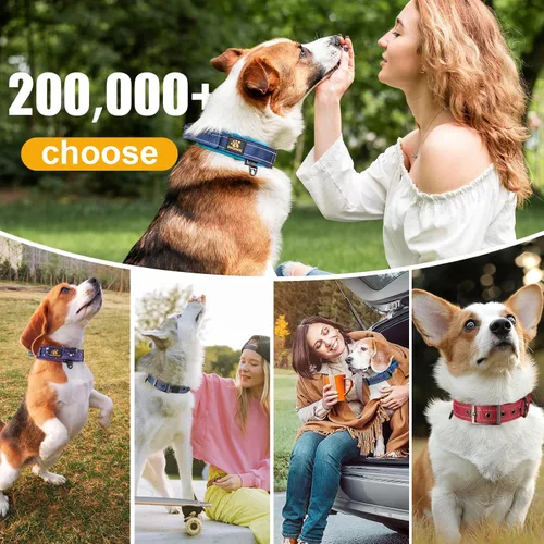 Vista 7 de DAGANXI Collar para perro, ajustable, de neopreno suave, acolchado, transpirable, tira reflectante, collar de nailon para perros pequeños, medianos