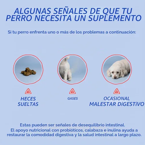 Vista 5 de Probióticos y prebióticos masticables para perros para la salud digestiva