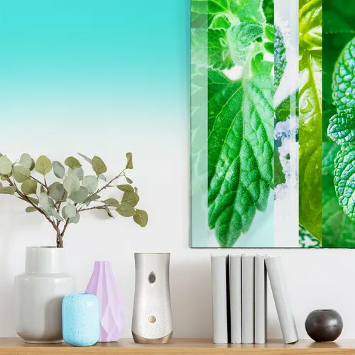 Vista 6 de Glade Recambio automático en aerosol, ambientador para el hogar y el baño, Empower Mint, 6.2 onzas