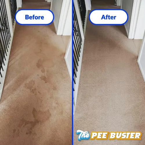 Vista 2 de Removedor de manchas para mascotas, botella de limpieza recargable con 5 tabletas solubles, limpiador multisuperficie para orina de perro y gato