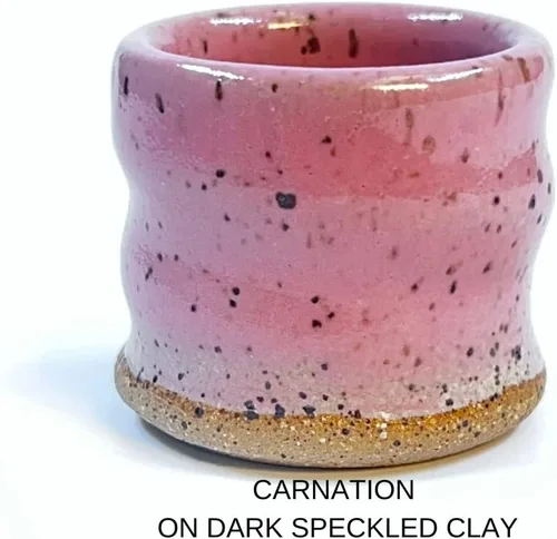 Vista 3 de Penguin Pottery - Serie opaca - Clavel - Esmalte de fuego medio, esmalte de alto fuego, cono 5-6 para arcilla de fuego medio, arcilla de alto fuego