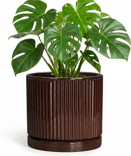 Vista 56 de 8 Inch Flower Pot, Ceramic Planters, Round Plant Pot, Beige
