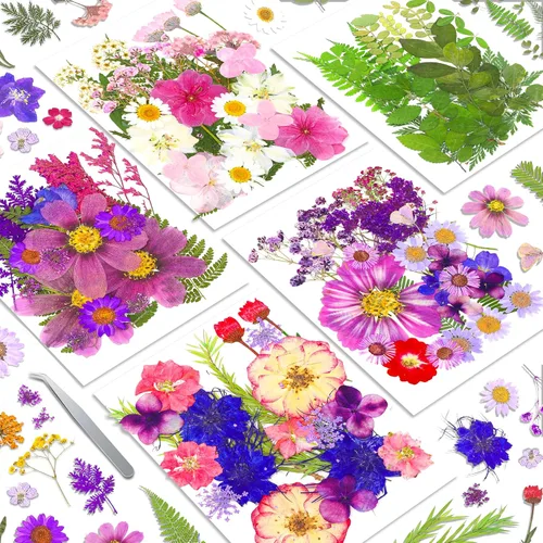 Vista 8 de Más de 170 pétalos de hojas de flores secas prensadas para manualidades, hermosas flores prensadas margaritas para joyas de resina, flores