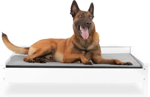 Vista 9 de Cama de madera para perro con colchón resistente al agua, cama elevada para mascotas pequeña a mediana con colchón calmante para mascotas