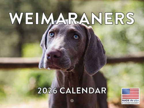Vista 62 de Calendario mensual de pared Airedale Terrier Dog 2027 rojo (Airedale Terrier)