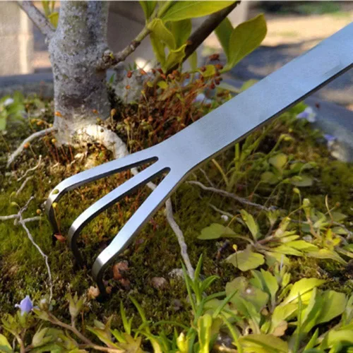 Vista 5 de Rastrillo para bonsái de acero inoxidable con espátula, mini estante de jardinería, cultivador de 3 puntas, herramientas para árbol bonsái