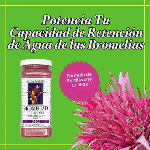 Vista 2 de Grow More Bromeliad Tillandsia Food (17-8-22) - 1.25 libras de fertilizante soluble en agua para plantas de aire - Fertilizante de liberación lenta