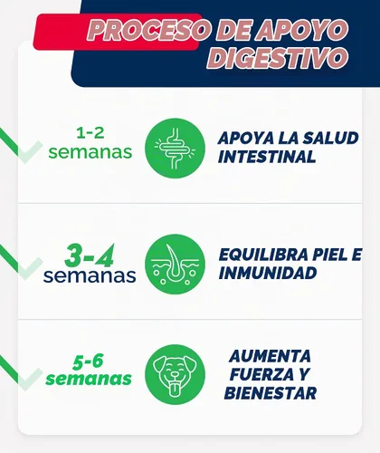 Vista 6 de STRELLALAB Advanced Dog Probiotics Chews - 60 Billion CFU per jar Masticables probióticos