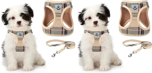 Vista 20 de Arnés de malla suave para cachorros – Juego de arnés y correa para perros pequeños, ajustable y cómodo chaleco reflectante acolchado para cachorros