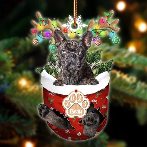 Vista 89 de NAZENTI Adorno Navideño de Bolsillo Personalizado de Affenpinscher en la Nieve, Adorno de Forma Acrílica de Perro, Adorno de Navidad 2023, Adorno
