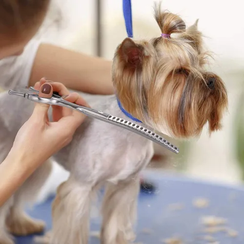 Vista 7 de PURPLEBIRD Tijeras curvadas hacia abajo de 6.5 pulgadas para el aseo de perros para mascotas, tijeras de seguridad profesional, punta roma, corte
