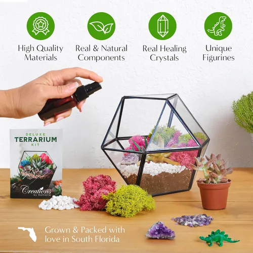 Vista 5 de Creations by Nathalie – Kit premium pequeño de terrario DIY para suculentas, cactus y plantas de aire, incluye tierra, musgo, piedras, herramientas