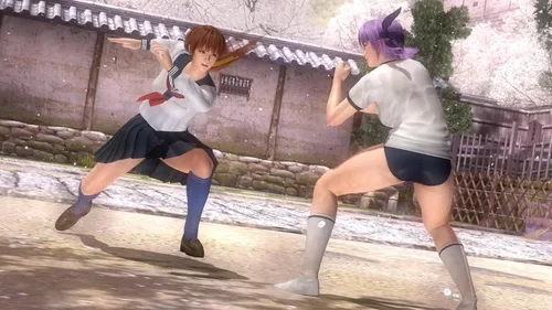 Vista 4 de Dead or Alive 5 Plus (Playstation Vita) (UK) (UK Account required for online content)