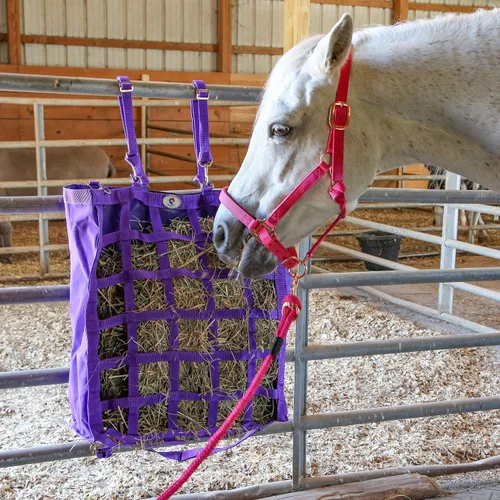 Vista 5 de Majestic Ally Cabestro con cuerda de plomo para caballos, barbilla ajustable y corona, pestillo de garganta enrollado con broche reemplazable, banda