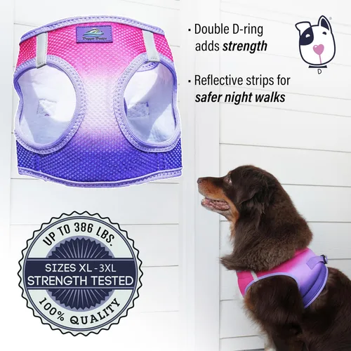 Vista 2 de Doggie Design Arnés para perro, arnés para perro sin estrangulamiento, chaleco para perro, malla de poliéster, arnés para mascotas, diseño simple