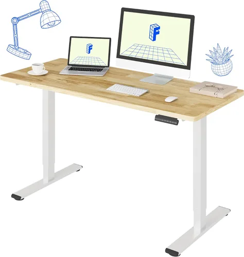 Vista 9 de FLEXISPOT Escritorio eléctrico de pie E3 con motor doble, 48 x 24
