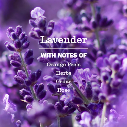 Vista 3 de Botella de limpiador de vidrio Mrs. Meyer's Clean Day, aroma a lavanda, 24 fl oz (Paquete de 1)