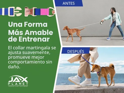 Vista 7 de Jelly - Collar para perro martingala impermeable, collar de nailon sin tirones con hebilla de metal de aleación y anillo en D para entrenamiento