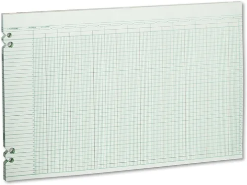 Vista 3 de Wilson Jones Hojas de contabilidad, seis columnas, 9-1/4 x 11-7/8, verde, paquete de 100 hojas sueltas (WLJG106)