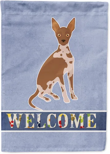 Vista 105 de Caroline's Treasures CK3645GF Bandera de bienvenida de bulldog inglés para jardín, bandera decorativa para patio exterior, obras de arte de patio