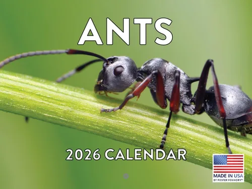 Vista 102 de Calendario mensual de pared de alpaca 2025 Fabricado en Estados Unidos