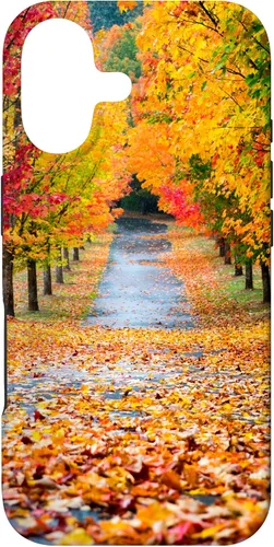 Vista 32 de iPhone 11 Otoño Hojas - Hermoso estuche de arboles