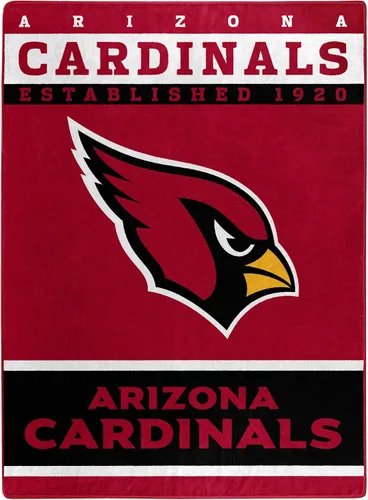 Vista 124 de Northwest NFL Unisex-Adult Raschel Throw Blanket