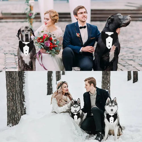 Vista 6 de GOYOSWA Traje de esmoquin para perro, collar bandana de boda con corbatín, esmoquin formal ajustable para perro, esmoquin de cumpleaños