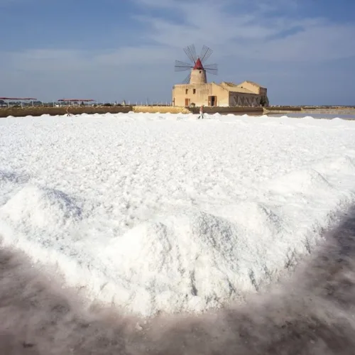 Vista 2 de SOSALT DAL MARE DI TRAPANI - Sal marina fina de Sicilia, (22.0 lbs) 22 lb Bolsa a granel para servicio de alimentos, todo natural, sal marina