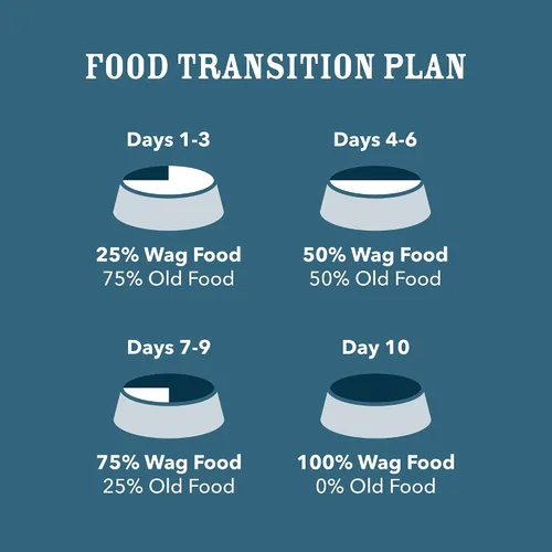 Vista 6 de Marca de Amazon - Wag Stew - Comida para perros enlatada, receta de carne de res y vegetales, lata de 13.2 onzas (paquete de 12)