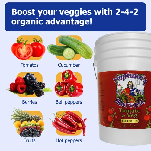 Vista 3 de Neptune's Harvest Fertilizante orgánico para plantas de tomate y verduras (2-4-2) – Alimento líquido para plantas con pescado fresco, algas marinas