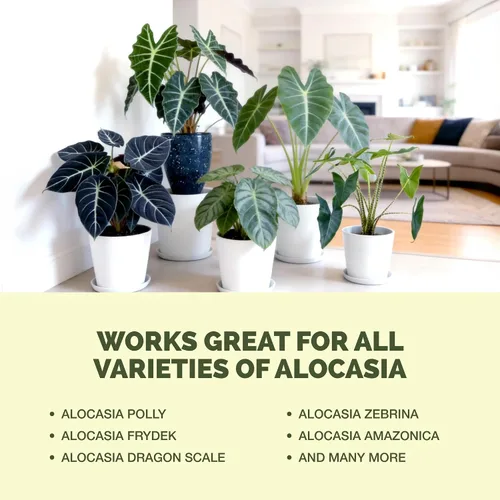 Vista 6 de Alocasia Fertilizer - Alimento líquido vegetal para hojas más grandes, 32
