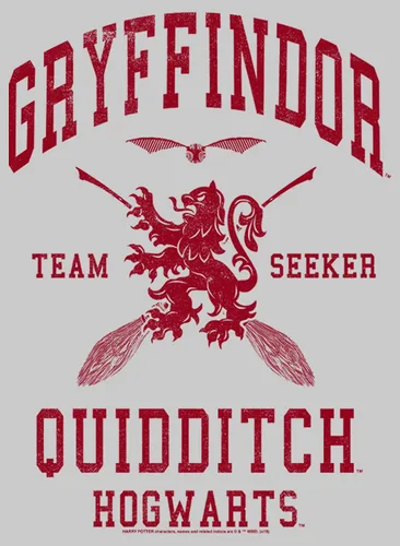 Vista 2 de Fifth Sun Sudadera de Harry Potter Gryffindor Quidditch Team Seeker para hombre