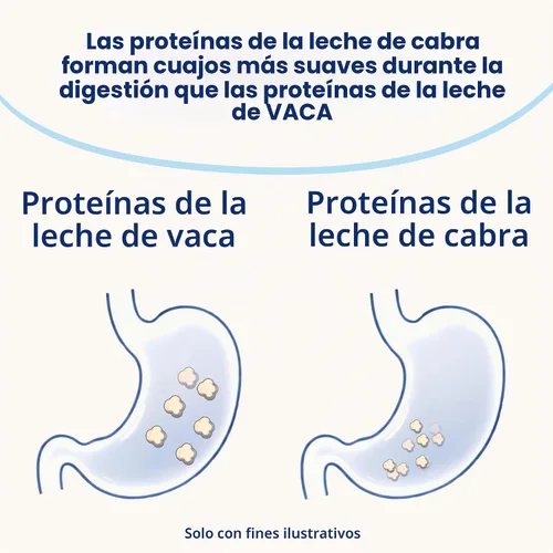 Vista 5 de Kabrita - Fórmula de leche de cabra en polvo para lactantes, digestión suave, 14 onzas, paquete de 12 Alternativa suave a la leche de vaca