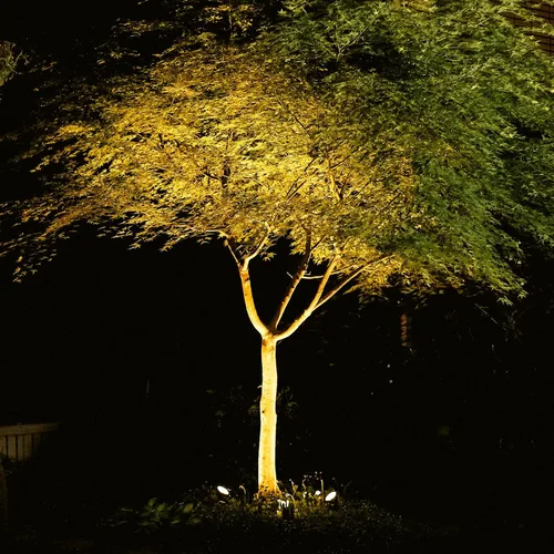 Vista 6 de VENUS MANUFACTURING Focos de paisaje de bajo voltaje de 12 V, 20 W, 145 lm