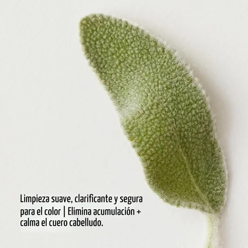 Vista 4 de AG Care Renew Champú clarificante, 10 onzas líquidas
