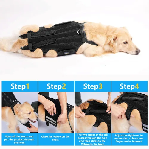 Vista 8 de Coodeo Soporte de espalda para perros para artritis, soporte de espalda para mascotas para IVDD, protector de espalda ayuda a aliviar el dolor