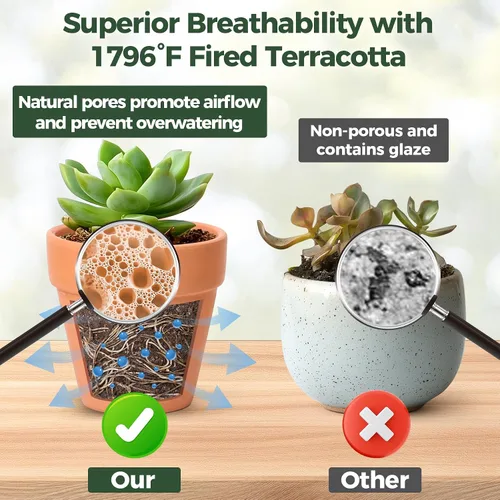 Vista 4 de T4U Mini macetas de terracota (36 piezas): macetas pequeñas de arcilla de 2 pulgadas con orificios de drenaje, ideales para plantas de cactus