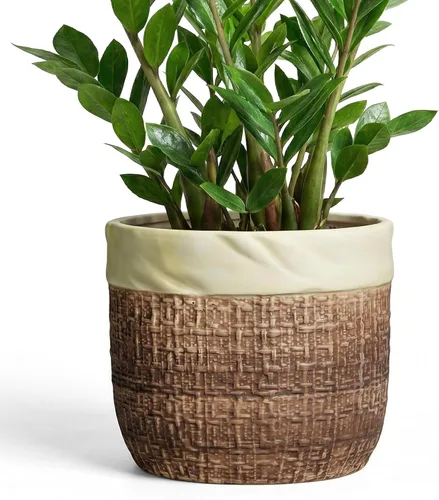 Vista 26 de Macetas de cerámica para plantas, maceta de 6 pulgadas para plantas suculentas de interior, macetas redondas con orificio de drenaje, macetas Azul