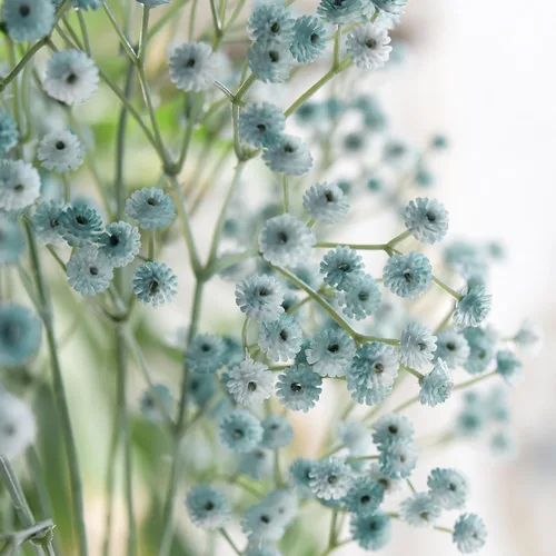 Vista 2 de FiveSeasonStuff 6 tallos de 27 '' Glacier Blue Baby Breath Artificial Gypsophila Flowers Long Stems