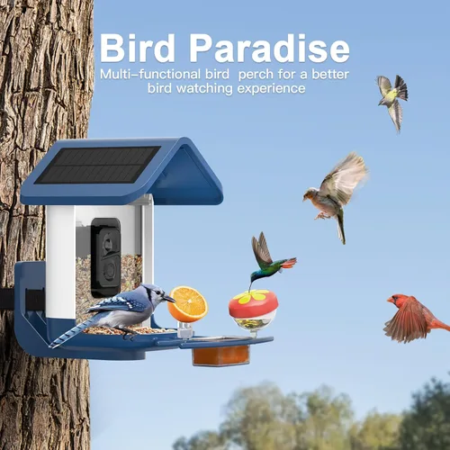 Vista 6 de Comedero para pájaros con cámara alimentado por energía solar: Comedero inteligente para aves con cámara de alimentación en vivo de 2K