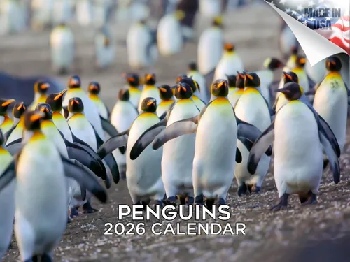 Vista 170 de Calendario de grises africanos 2025 2026 – Planificador mensual de pared de aves africanas – 12 x 18 pulgadas (abierto), calendario de pared