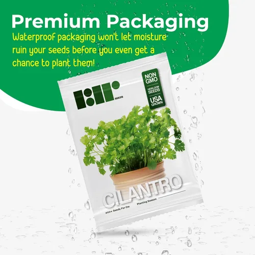 Vista 4 de Más de 500 semillas de cilantro para plantar - Semillas de hierbas autóctonas sin OMG cultivadas en EE. UU. en embalaje protector premium - También
