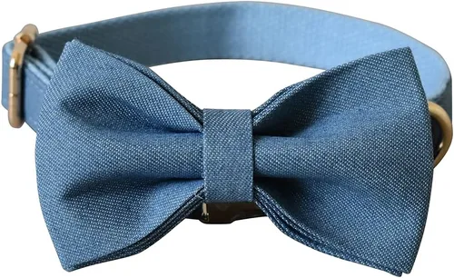Vista 3 de Collares personalizados para cachorros, mascotas pequeñas, medianas y grandes con nombre y número de teléfono grabados (S, azul)